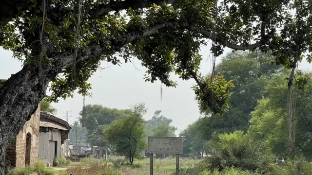 بھیرہ