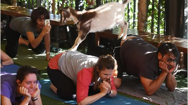 Akuyar Najeriya a Amurka