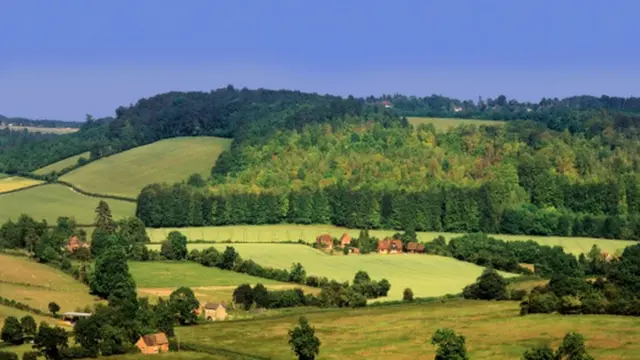 Чилтерн Хилс