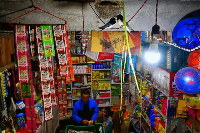 Barn swallows make a next above a shop keeper