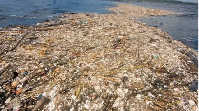 कचरे का समंदर