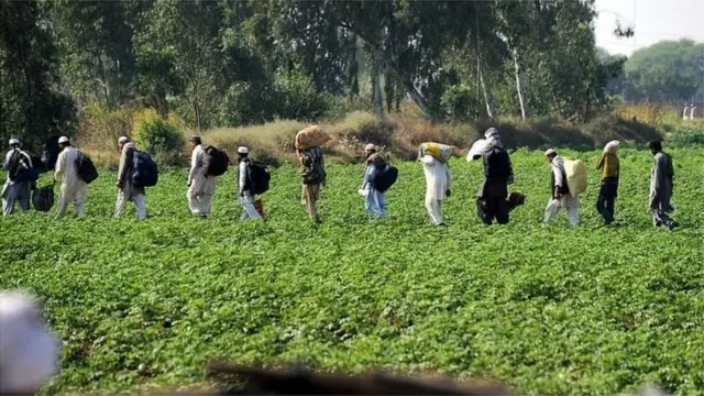 तबलीग़ी जमात