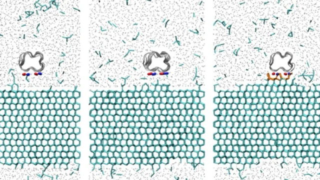 Ilustración que muestra la proteína anclándose a la superficie del hielo
