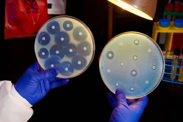 एन्टिबायोटिक कति प्रभावकारी भनेर गरिने परीक्षण