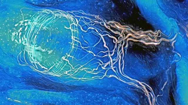 Spike Walker/ Cortesía de la Royal Photographic Society