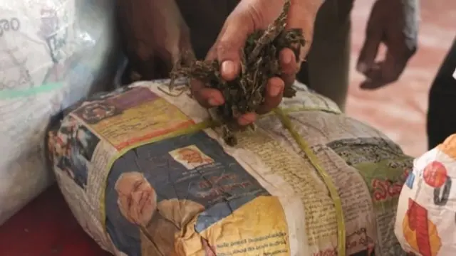 නීත්‍යානුකූල ගංජා වෙළඳාම මගින් ඇමෙරිකා එක්සත් ජනපදයේ රැකියා 123,000 ක්