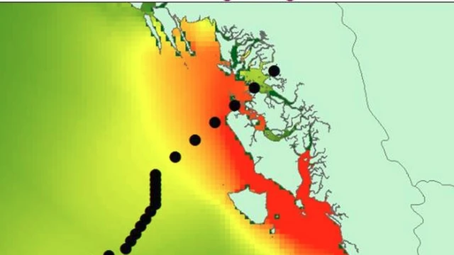 မုန်တိုင်းငယ်