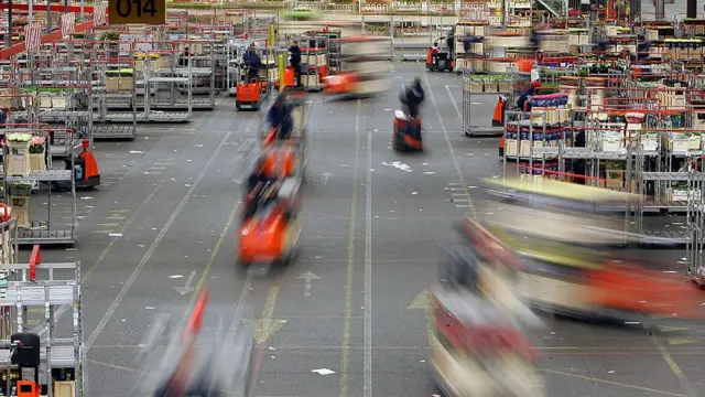 Actividad en el mercado