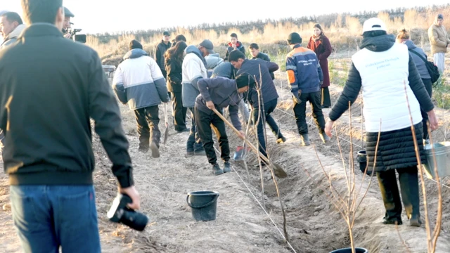 Оммавий кўчат экиш тадбири