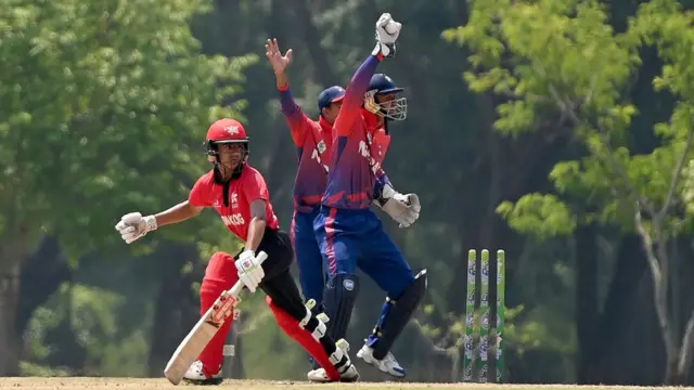 क्रिकेट