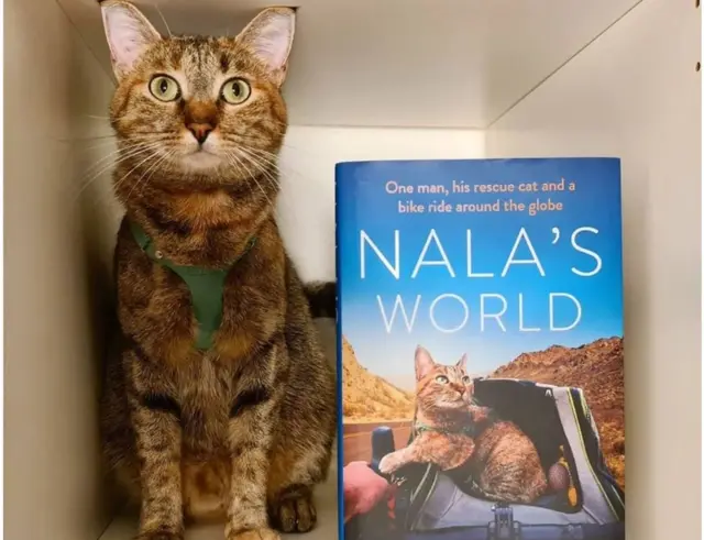 Nala's book