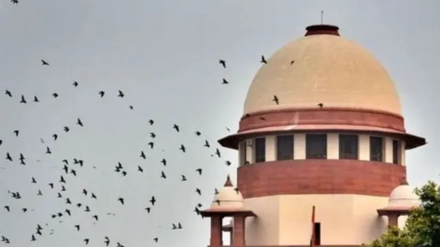 सर्वोच्च न्यायालय