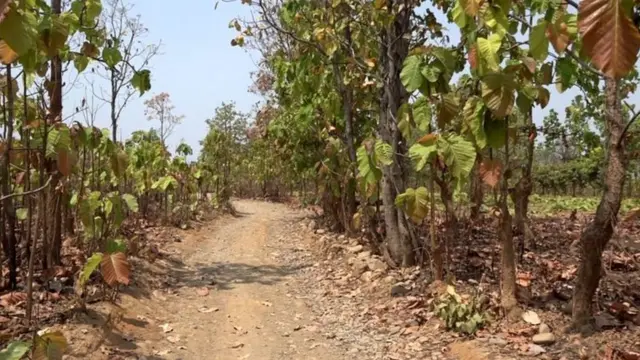 ਮਿਆਂਮਾਰ