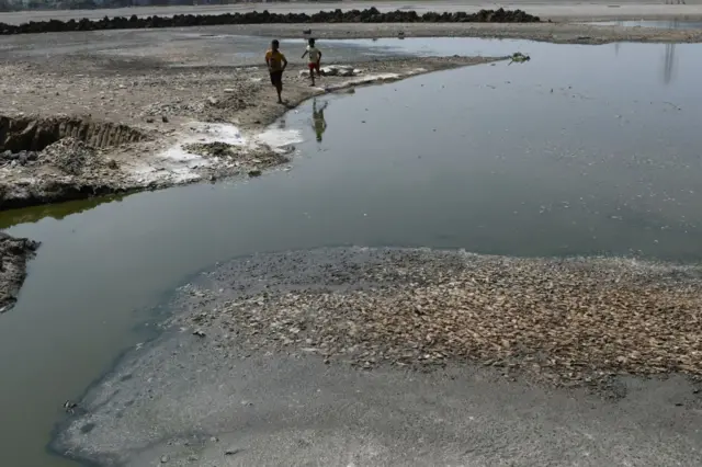 சென்னையில் ஏரி ஒன்றில் நீரில்லாமல் செத்துப்போன நூற்றுக்கணக்கான மீன்கள்