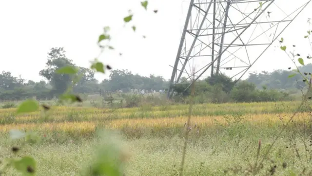 హైదరాబాద్ ఎన్‌కౌంటర్