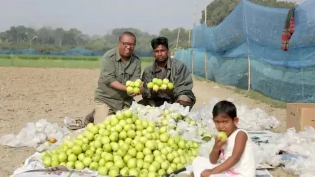 शेख सिराज