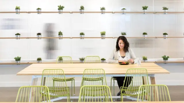 Стена с суккулентами в Palettes Cafe, расположенном в штаб-квартире Adobe, Сан-Хосе, штат Калифорния