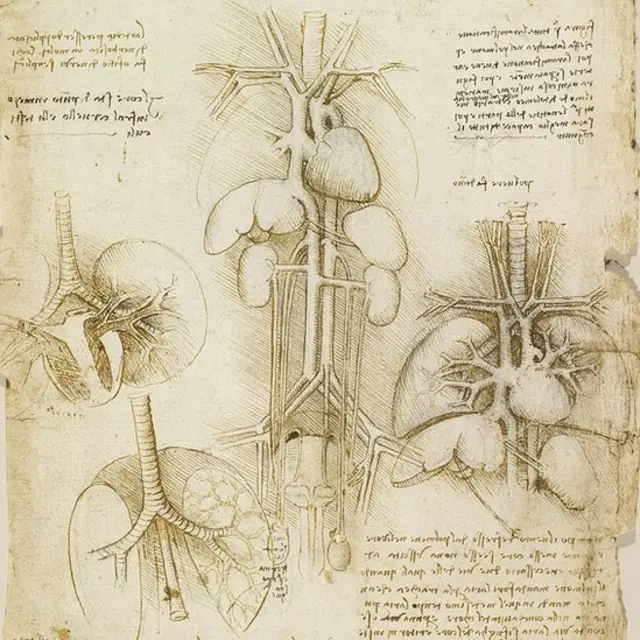 Estudios del corazón hechos por Leonardo Da Vinci alrededor de 1508.