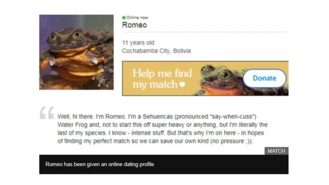 Hizi ni miongoni mwa harakati za wanasayansi kumtafutia mchumba