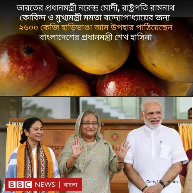 আম এবং শেখ হাসিনা