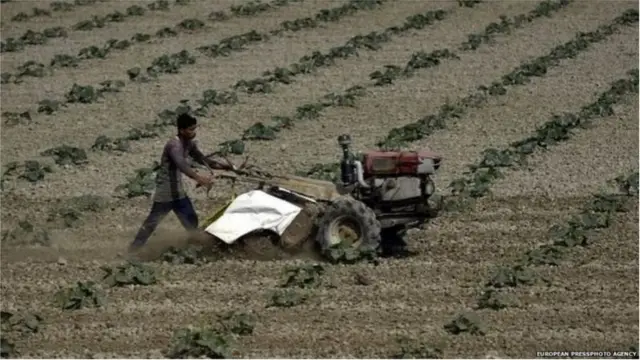 మద్దతు ధరకన్నా సాంకేతిక పరిజ్జానం పెంచుకోవడం వల్ల ఎక్కువ లాభాలు ఉంటాయని నిపుణులు అంటున్నారు