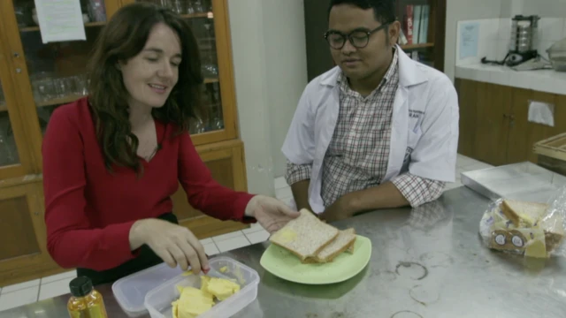 Mentega, ulat jerman