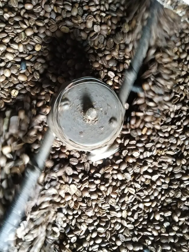 కాఫీ గింజలు