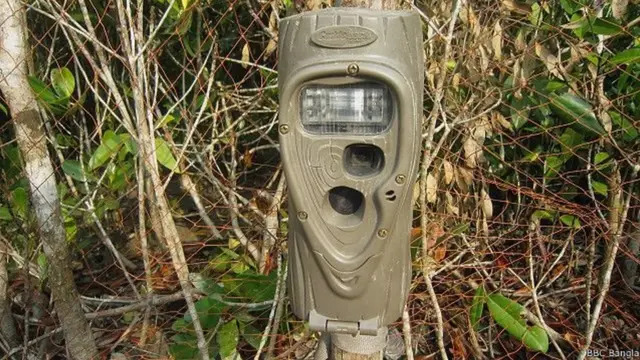 ক্যামোফ্লেজ রং করা ক্যামেরাগুলো সর্বক্ষণ সচল থাকে। সামনে কোনও নড়াচড়া ধরা পড়লেই ক্যামেরাটি ছবি তোলে। প্রতি দশ মিনিটে একটি স্থিরচিত্র ও দশ সেকেন্ডের ভিডিও ধারণ করে ক্যামেরাটি। রাতের বেলায় ক্যামেরাটি ব্যাবহার করে ব্ল্যাক ফ্ল্যাশ, খালি চোখে এই ফ্ল্যাশের আলো দেখা যাবে না।