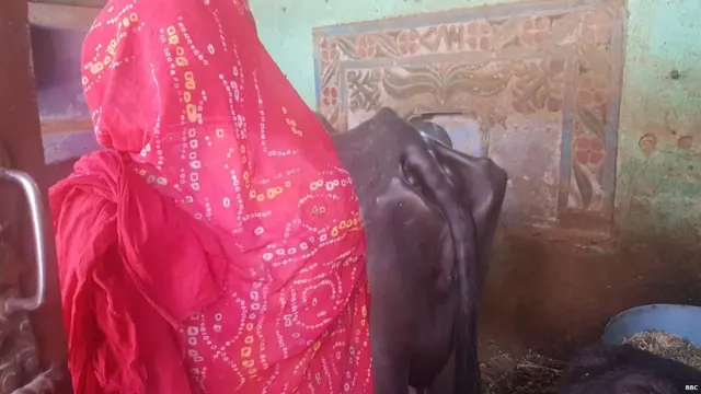 गांव की एक महिला