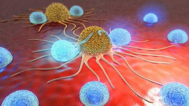 imagen en 3D de células cancerosas