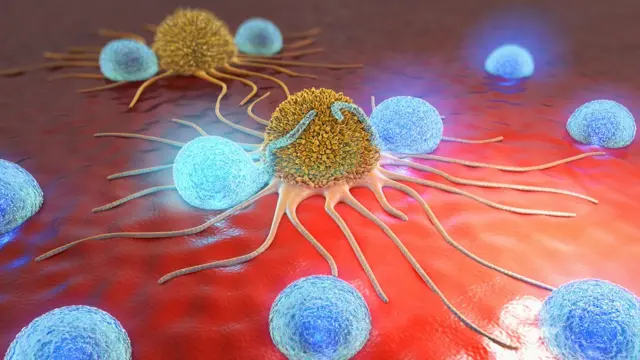 imagen en 3D de células cancerosas