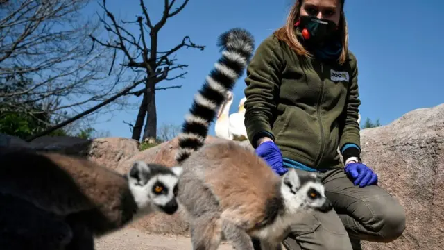 коронавірус