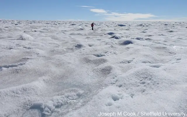 சாதாரண நிலை