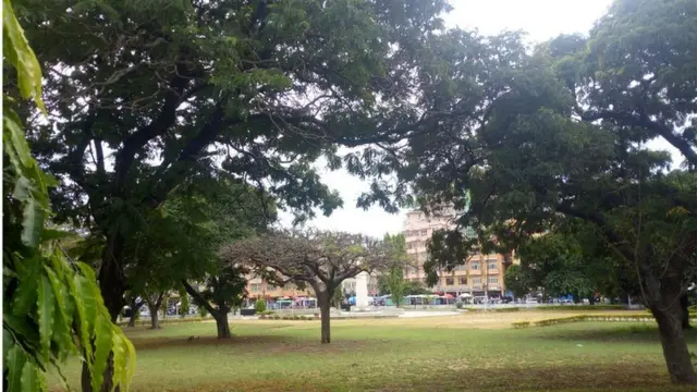 Bustani ya wazi Mnazi mmoja