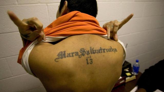 Pandillero con un tatuaje de la Mara Salvatrucha.