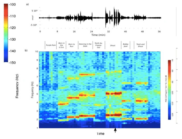 Vizuelni prikaz spektra frekvencija na koncertu.