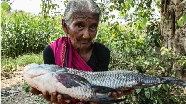 మస్తానమ్మ