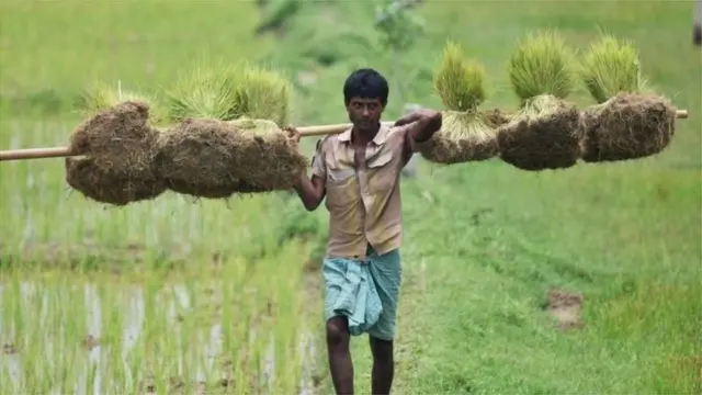 પ્રતીકાત્મક તસવીર