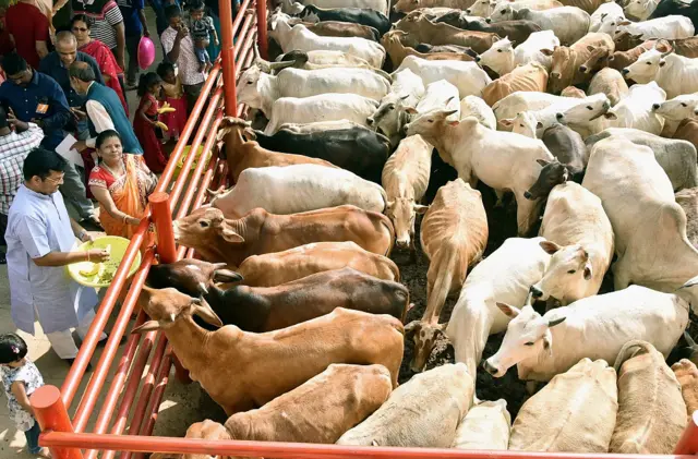 कामधेनु गौ विज्ञान प्रचार प्रसार परीक्षा