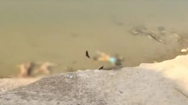 బిహార్, యూపీల మధ్య కోవిడ్ మృతదేహాళు