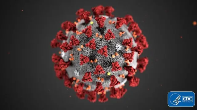 कोरोना वायरस