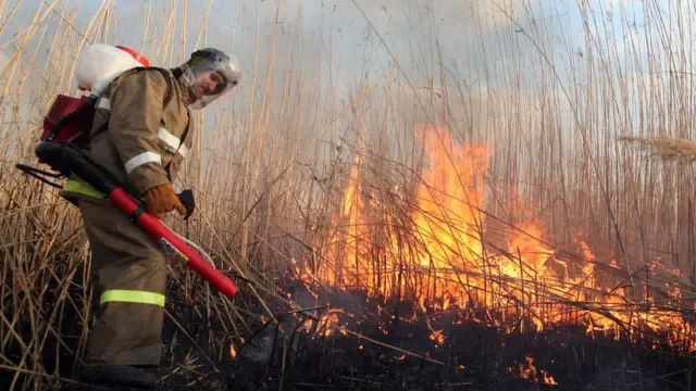 Тушение пожара