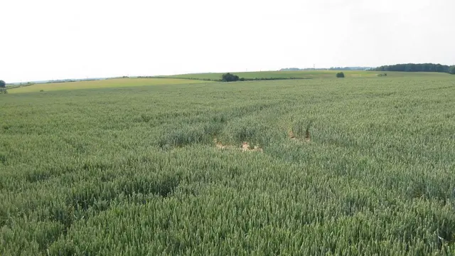 Поле битвы при Таутоне