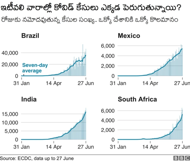 కరోనావైరస్ కేసులు