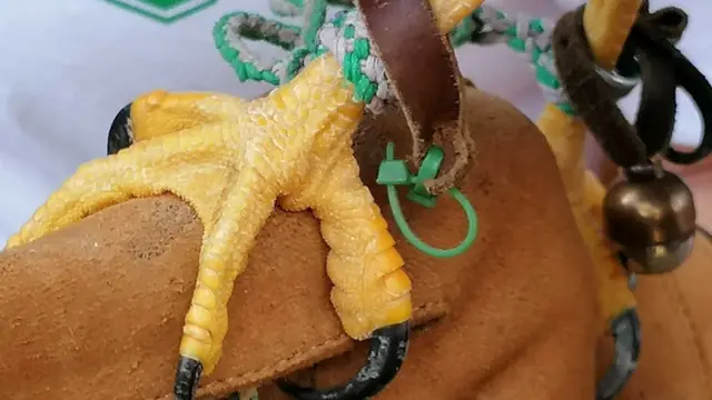 Kandže deluju opasno