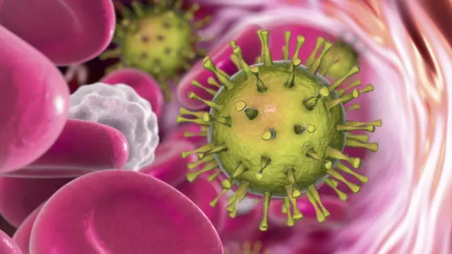 கொரோனா வைரஸ்