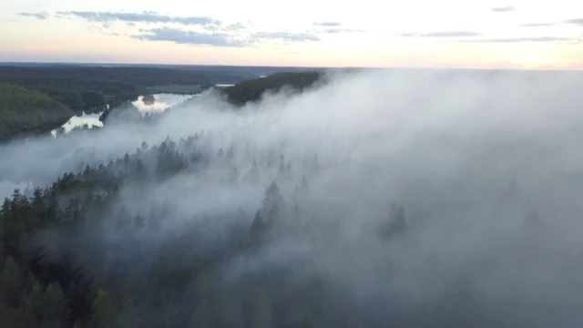 Лесной пожар