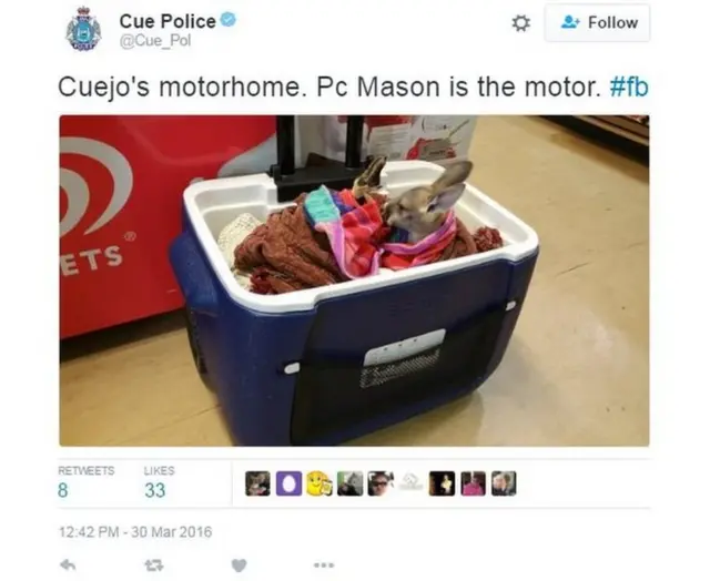 කුවෙජෝ ගේ තාවකාලික නිවහනක්