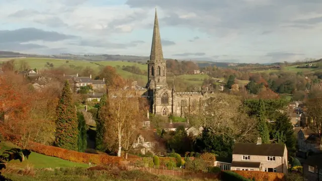 Вид Бейквелла