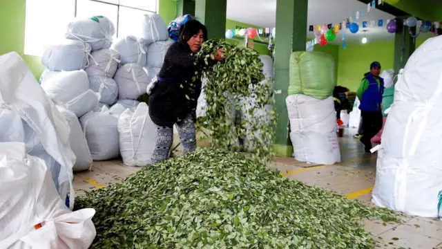 Una mujer esparce hojas de coca en un mercado de La Paz, Bolivia